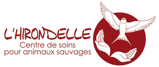 Logo centre de soins pour les animaux sauvages l'Hirondelle